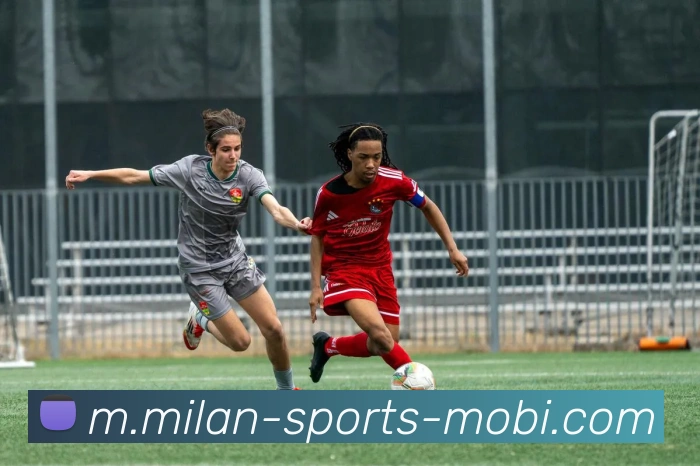 米兰体育APP 封面图